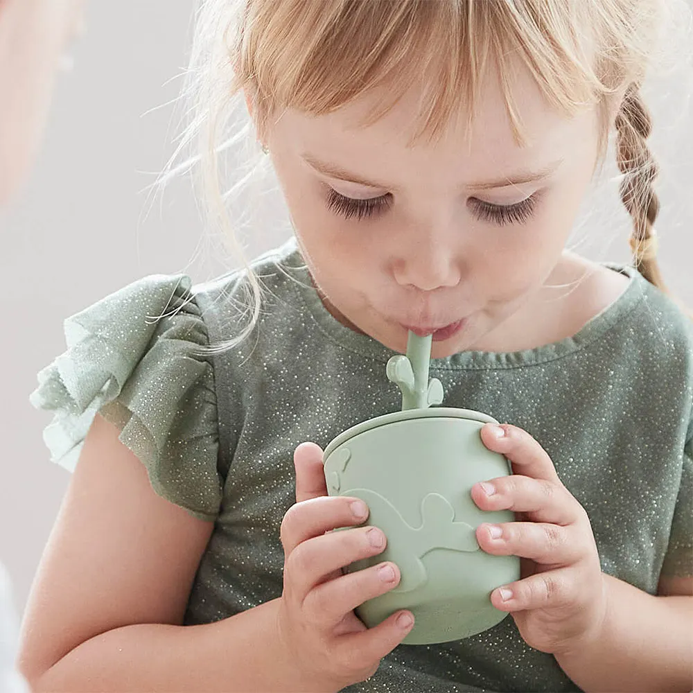 Peekaboo straw cup 2-pack Wally Powder