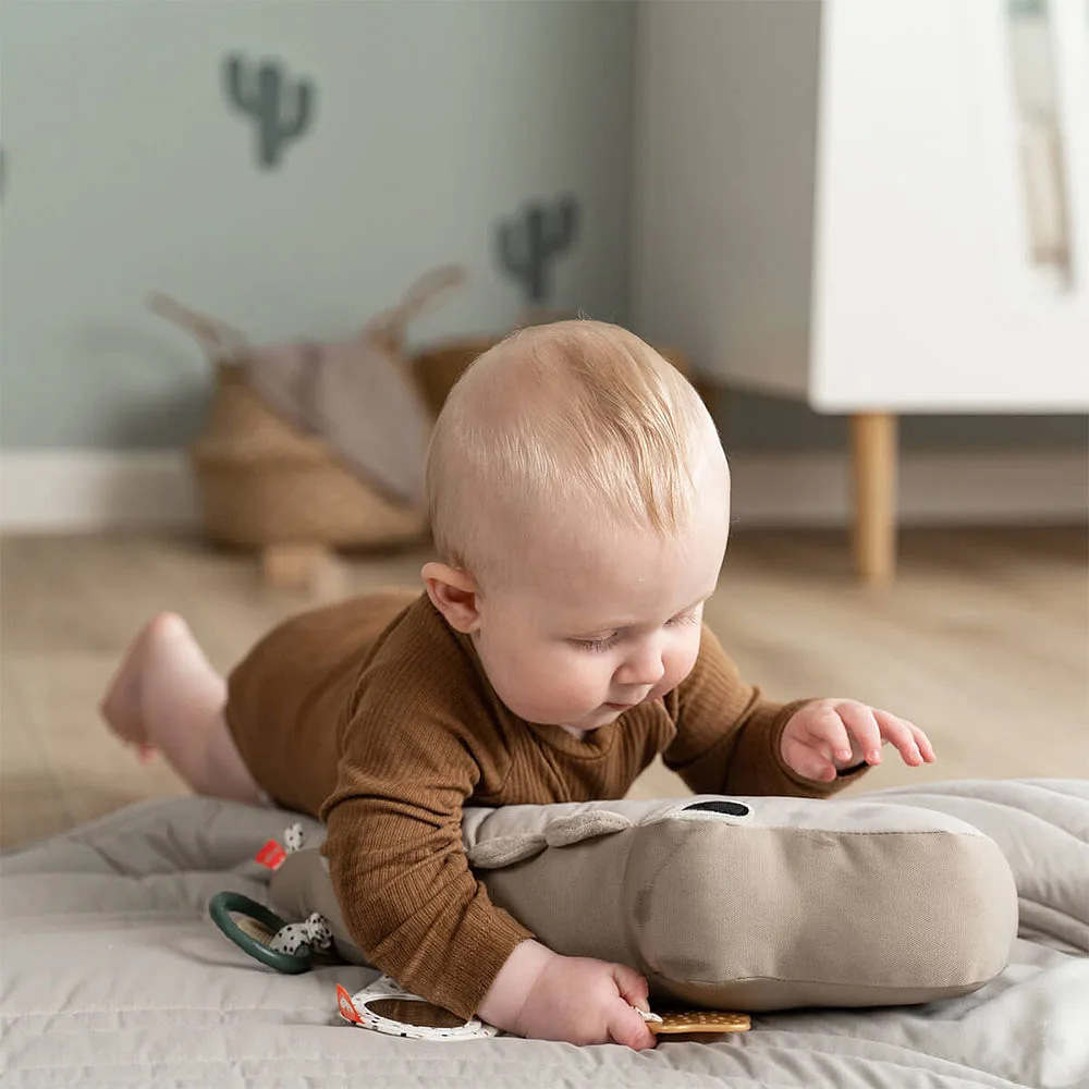 Tummy time activity toy Croco Sand