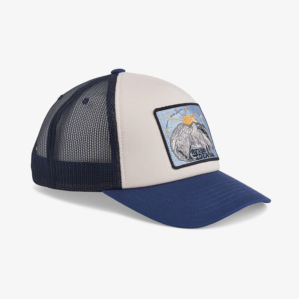 BADGER Trucker Cap