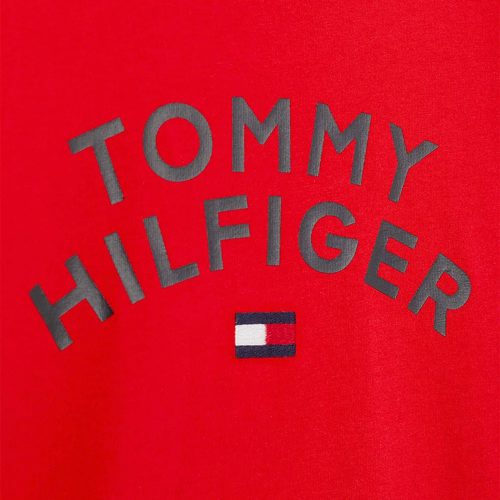 TOMMY HILFIGER FLAG TEE S/S