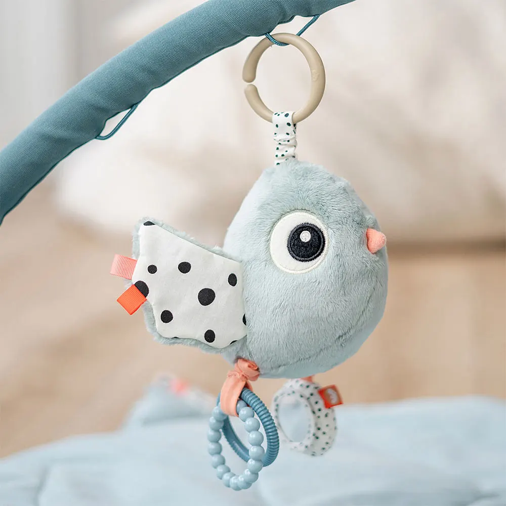 Activity sensory toy Birdee Blue