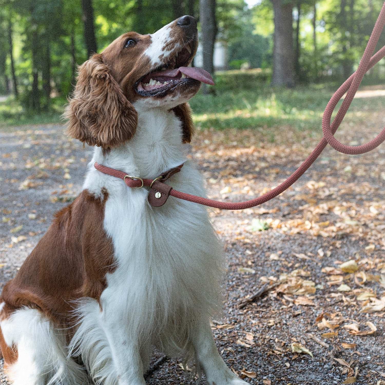 Retrieverkoppel Torekov Golden Sand 210 Cm - Denjo Dogs