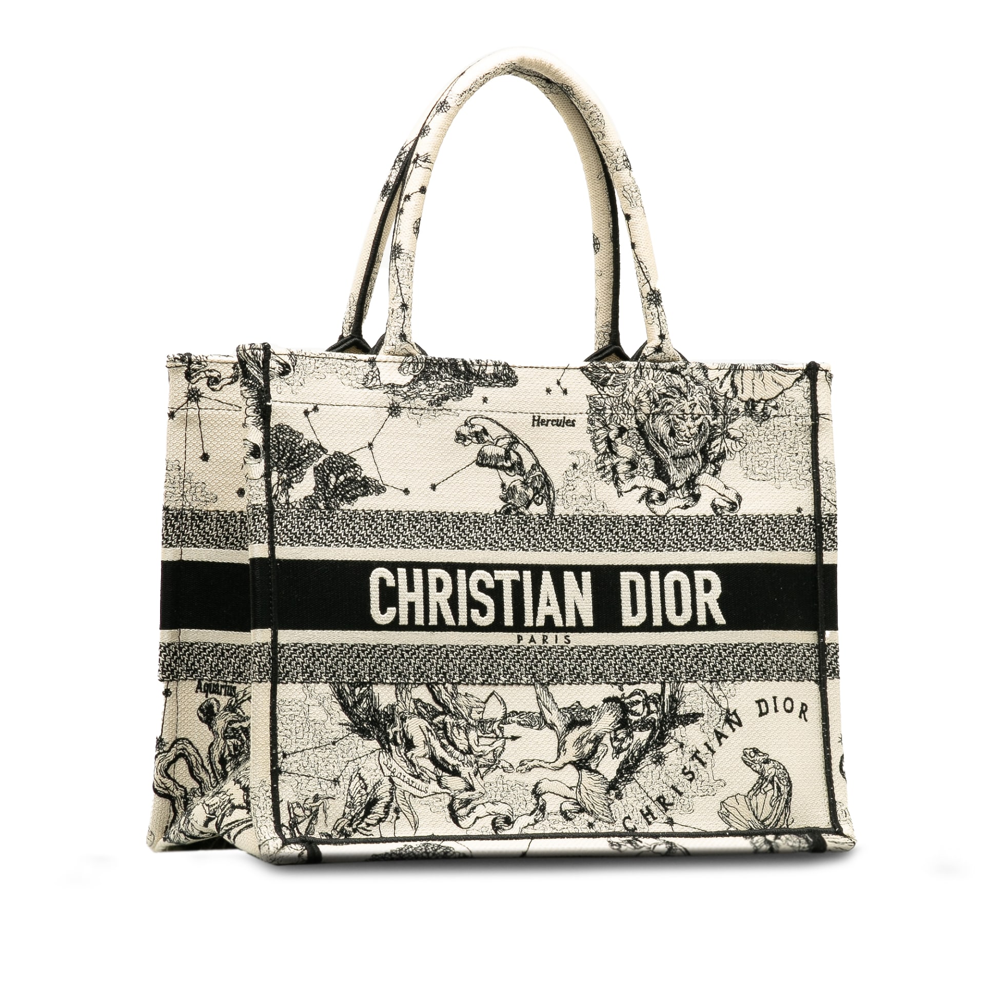 Dior Small Zodiac Book Tote