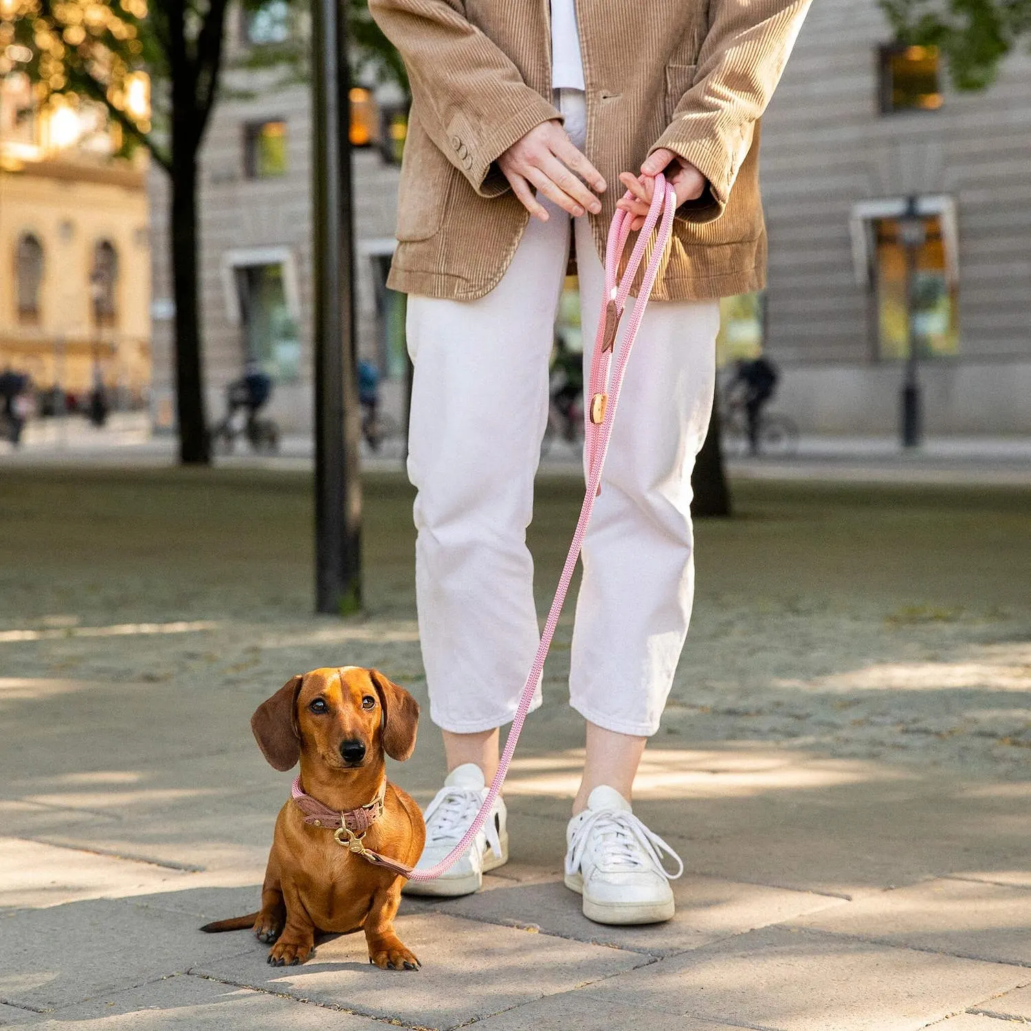 Hundkoppel Torekov Shimmer Green - Denjo Dogs