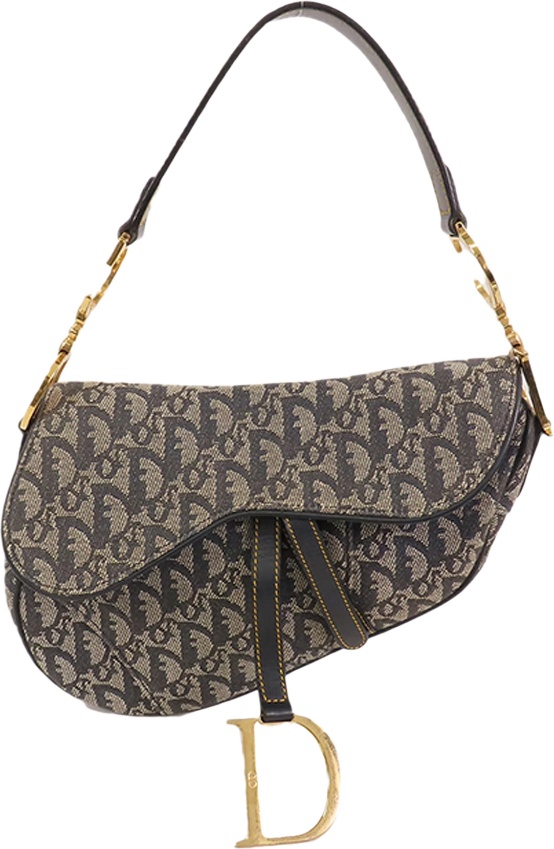 Dior Oblique Canvas Saddle