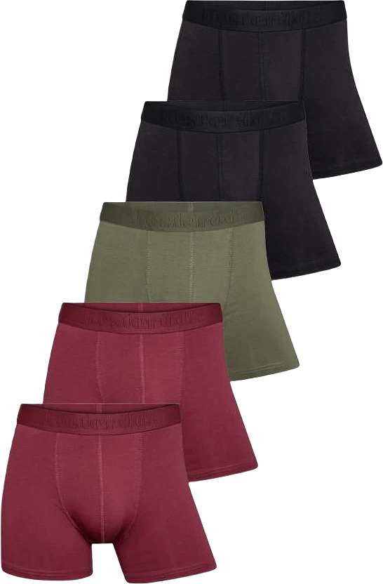 5-pack Boxers  - Gots Ekologisk Bomull