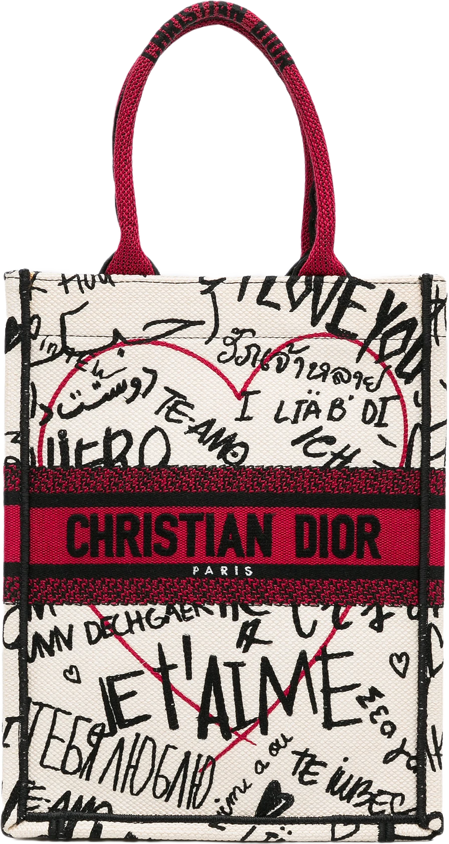 Dior Embroidered Canvas Graffiti Dioramour Vertical Book Tote