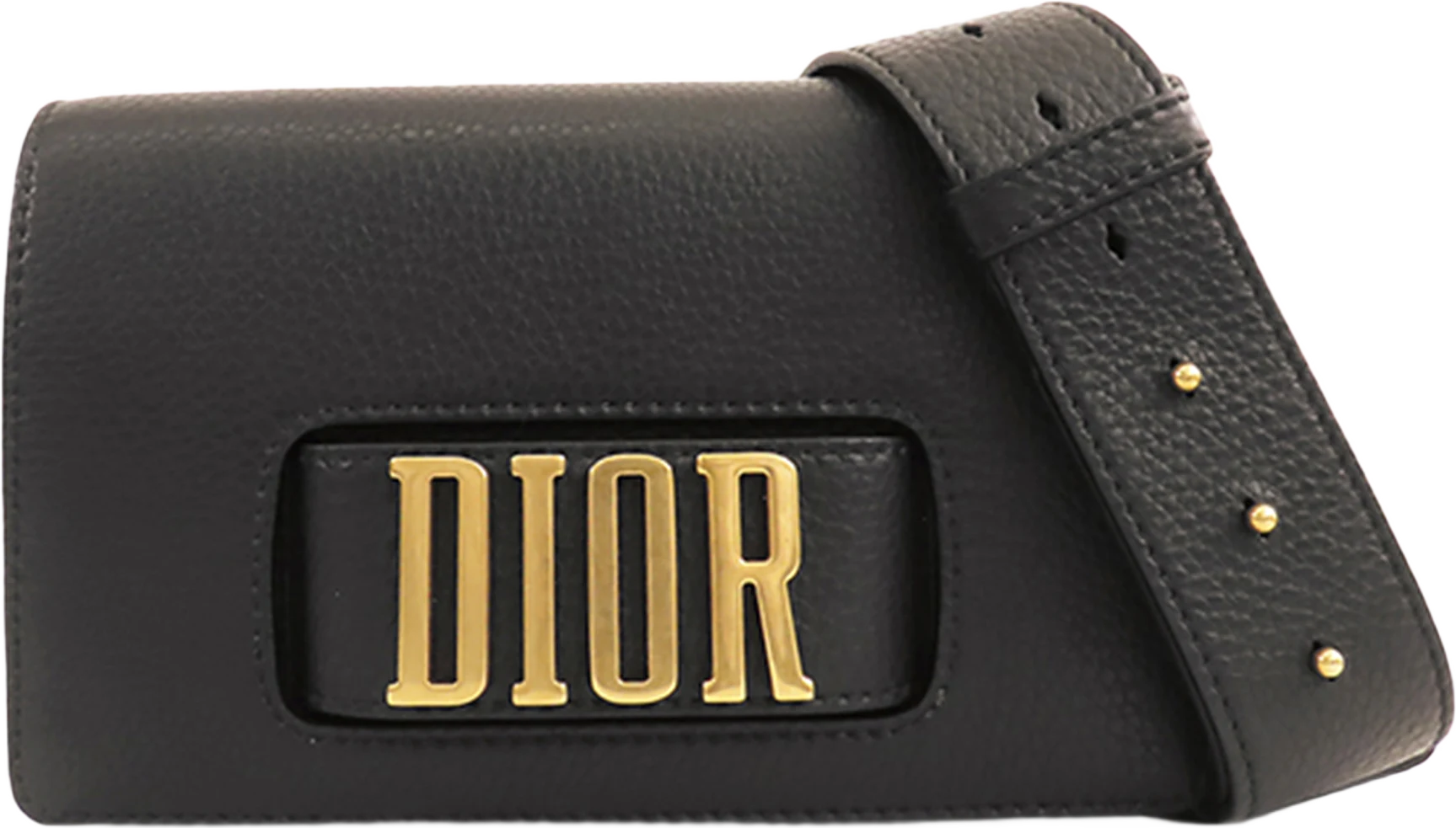 Dior Medium Dio(r)evolution Flap