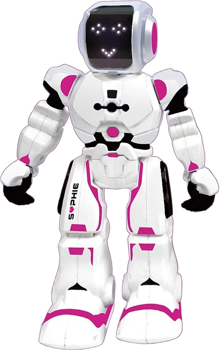 Sophie Bot Robot