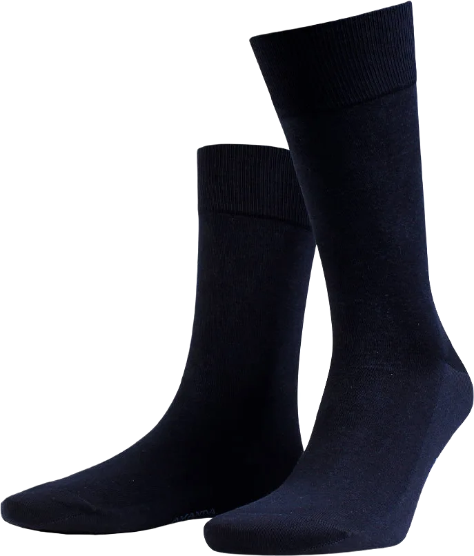 Core Ankle Sock