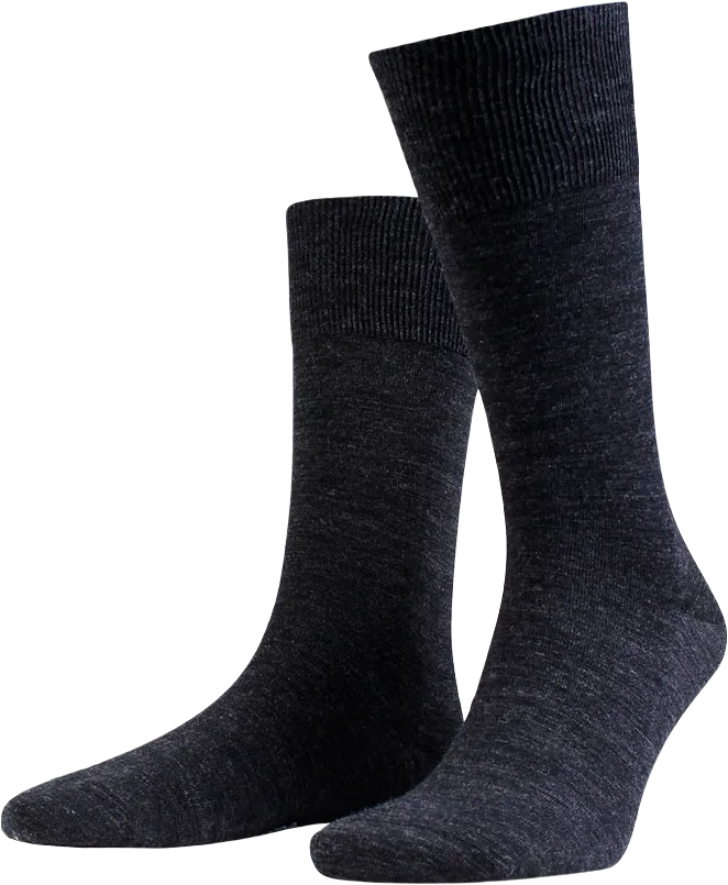 Icon Ankle Sock