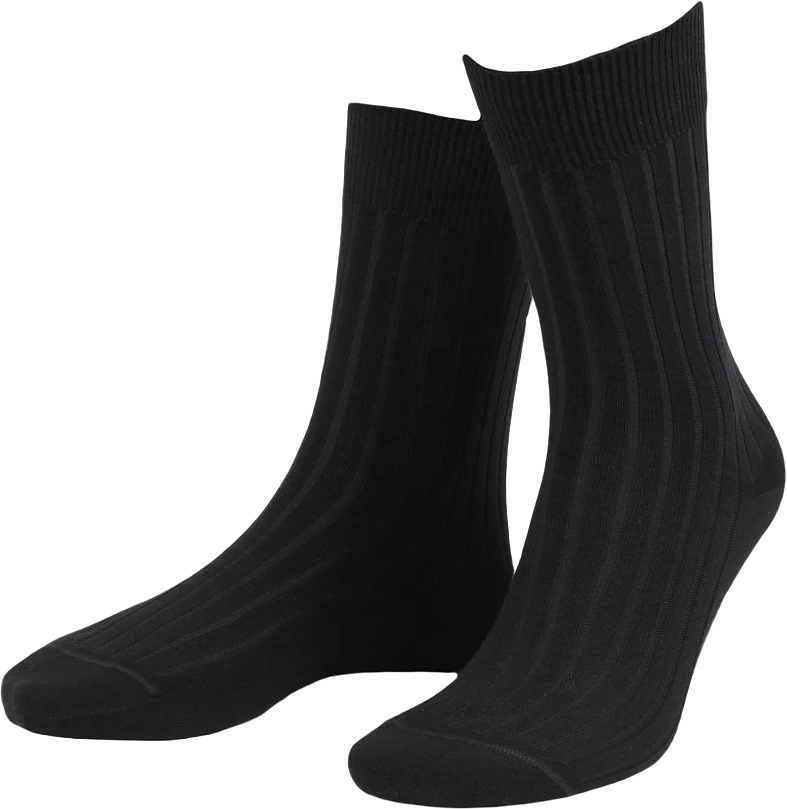 True Ankle Rib Sock