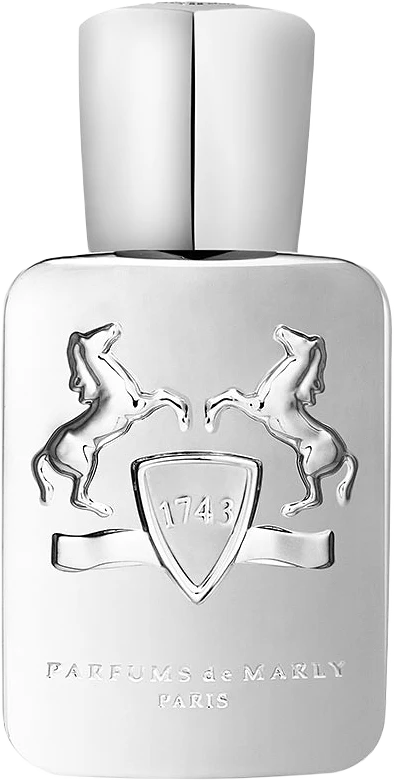 PEGASUS EDP