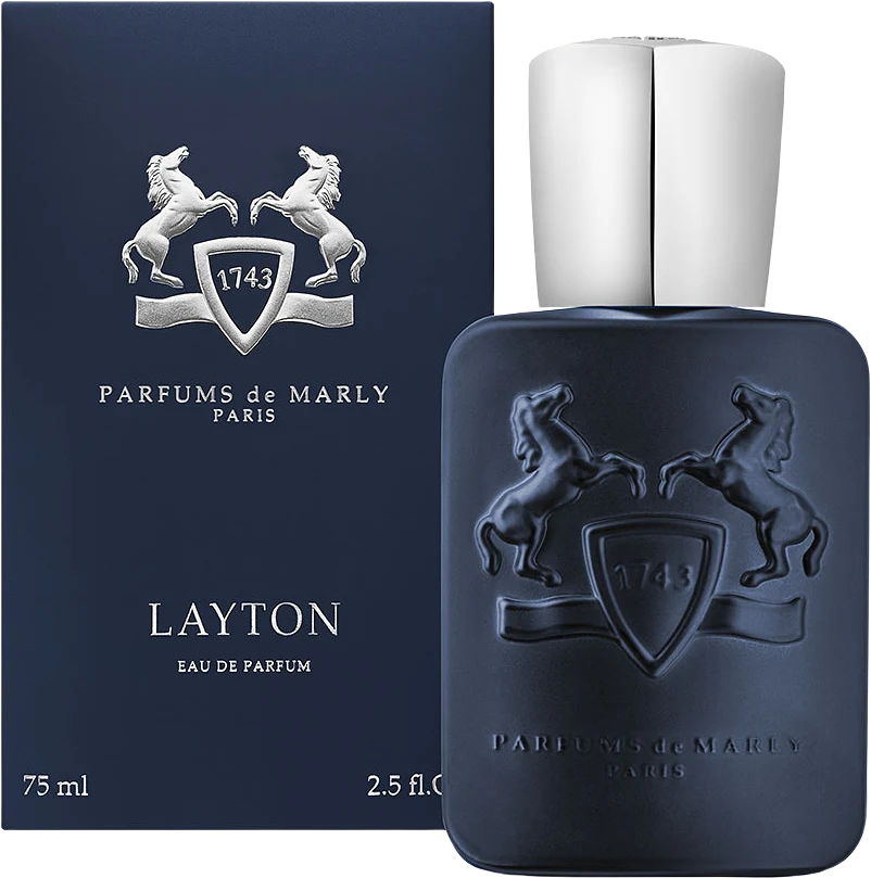 LAYTON EDP