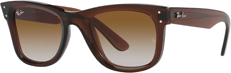 Wayfarer Reverse