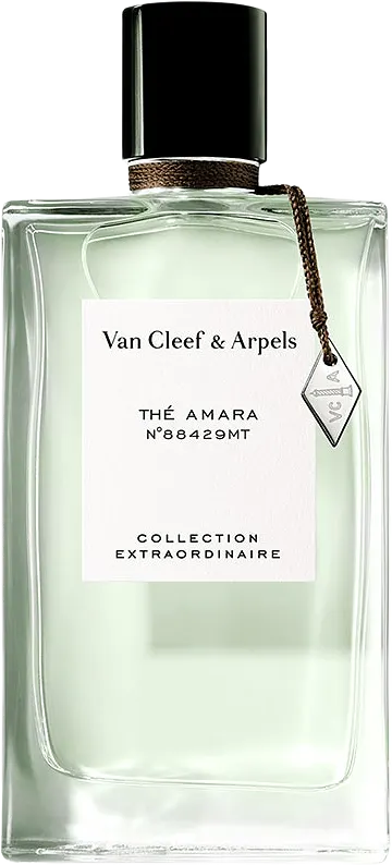 THE AMARA EDP