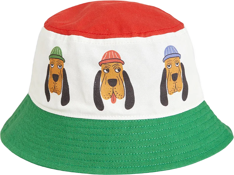 Bloodhound Solhatt