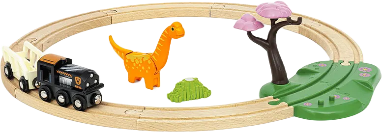 Dinosaur Circle Set