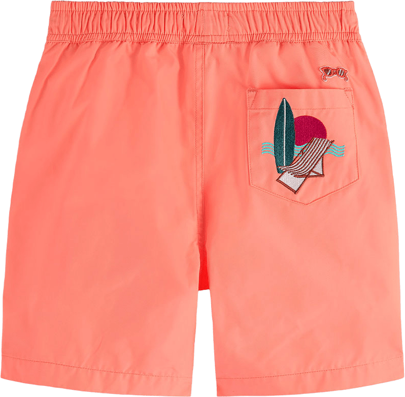 Embroidery swimshorts