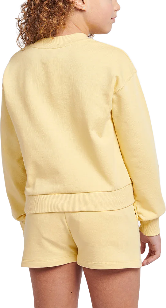 Lee Sweatshirts Lee Badge Boxy Crew LB