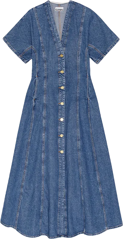 Future Denim Dress