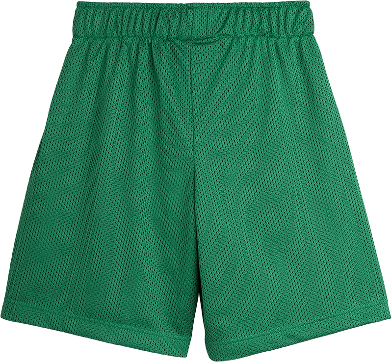 Basketball Mesh Shorts