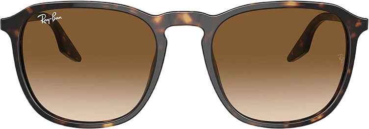 Ray-Ban 0Rb2203