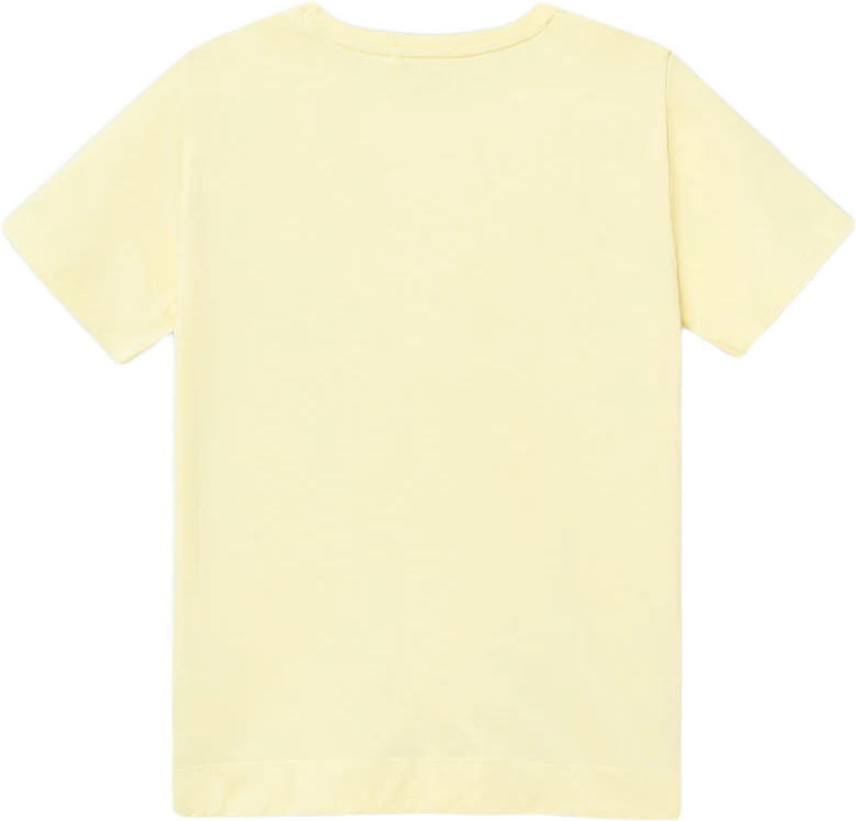 Name It T-shirt NKFDINAS SS NREG SHORT TOP