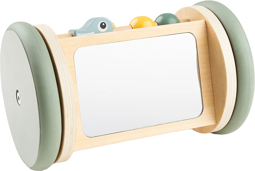 Rolling activity mirror Birdee Colour mix