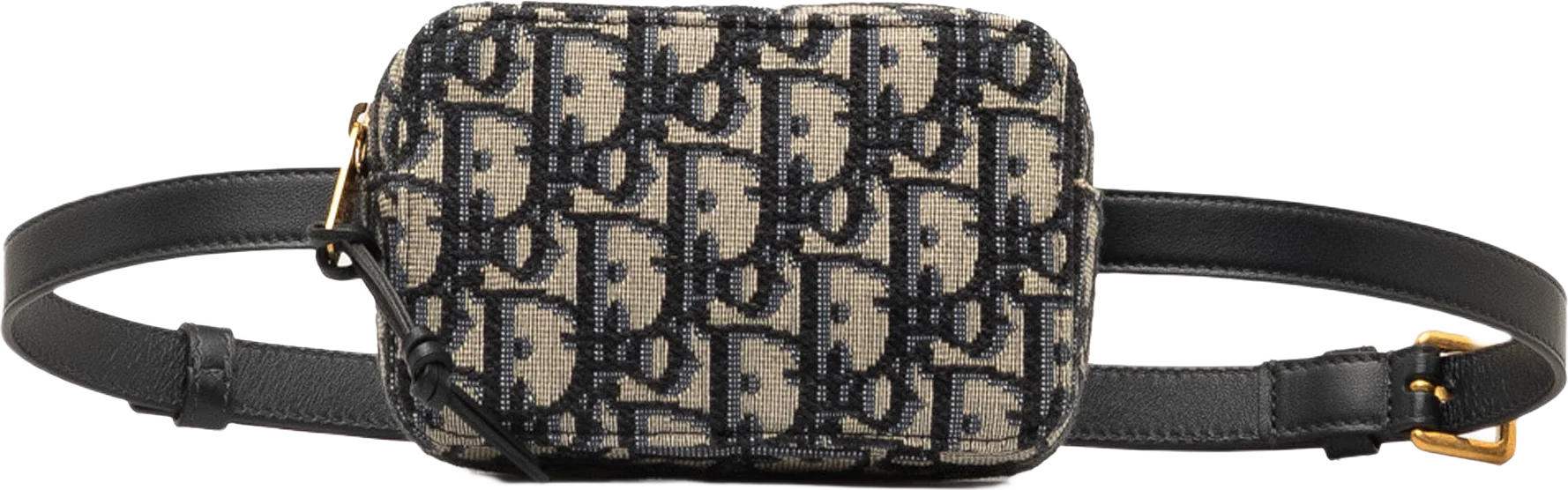 Dior Mini Oblique Belt Bag