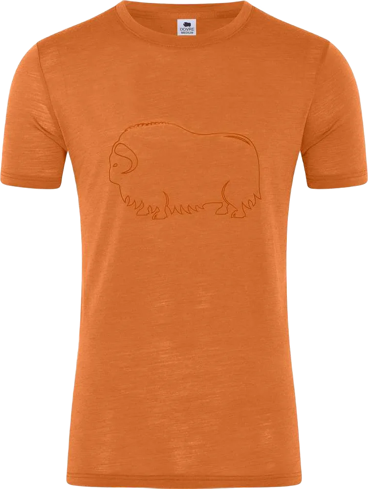 Ekologisk Ull, T-shirt, Orange Med Tryck