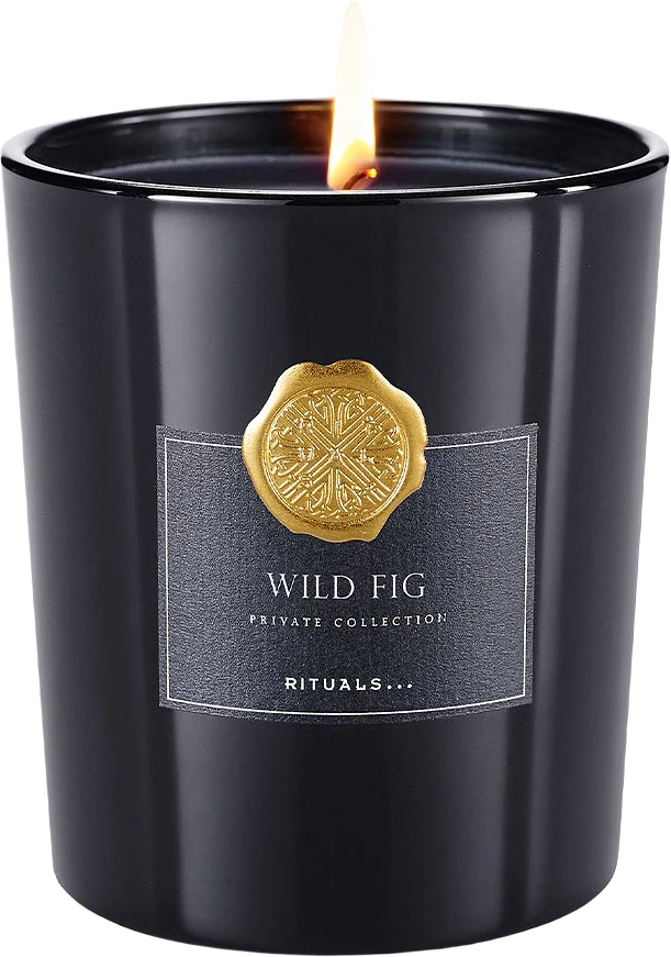 Wild Fig Scented Candle