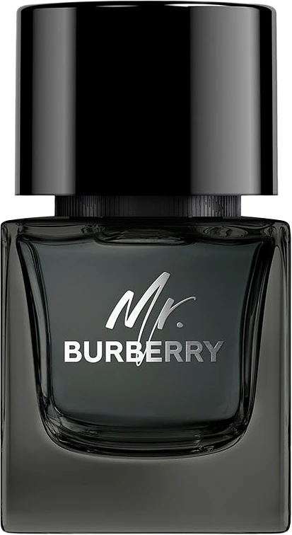 MR BURBERRY EdP