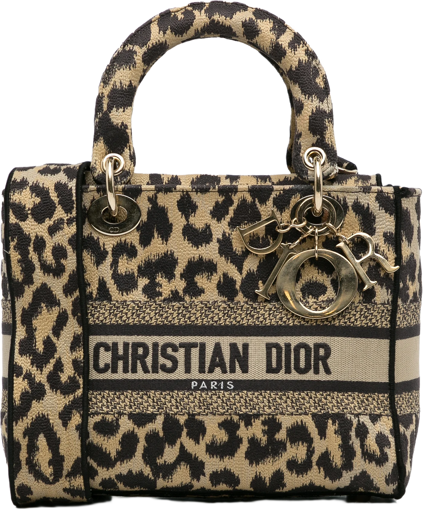 Dior Medium Mizza Lady D-lite