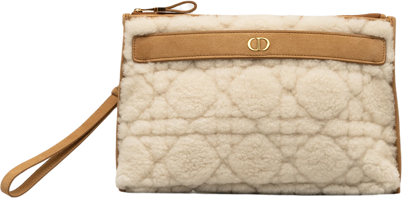 Dior Large Shearling Caro Pouch