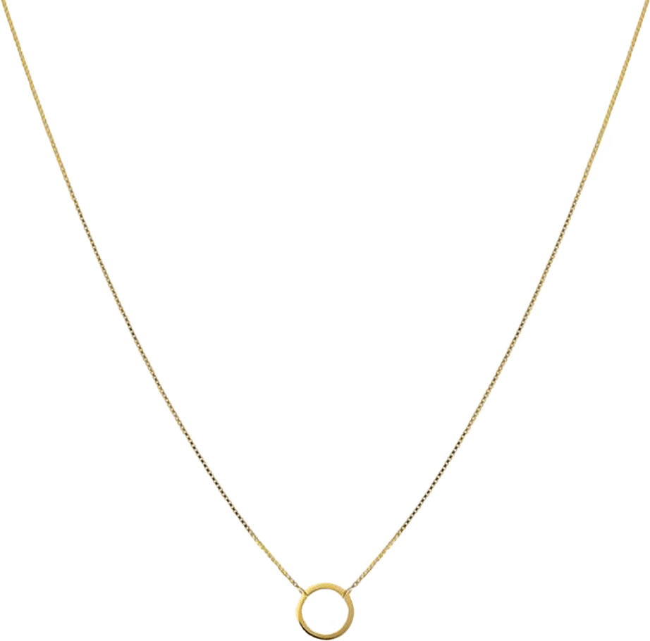 Minimalistica Ring Necklace Gold