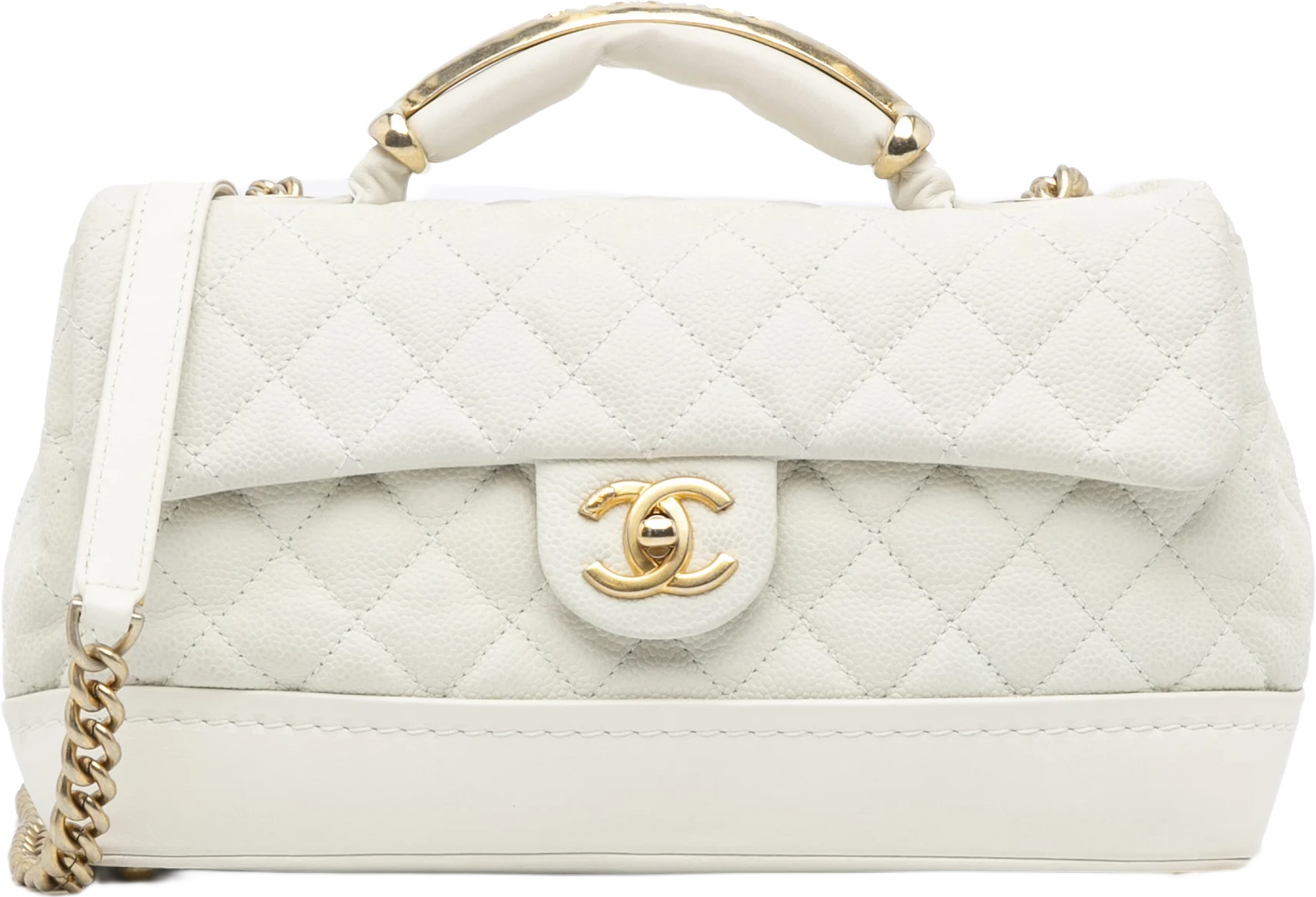 Chanel Medium Globe Trotter Flap Bag