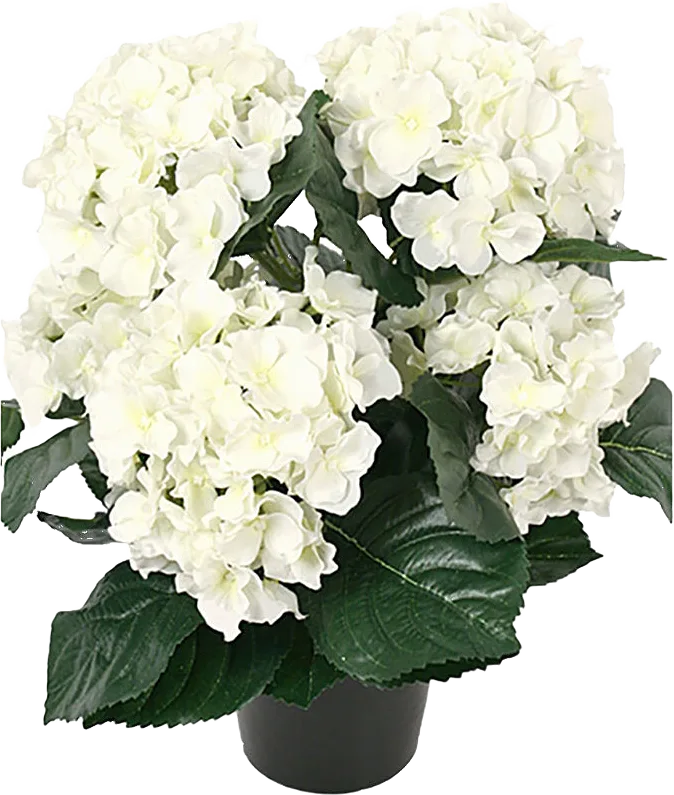 Konstväxt Hortensia kruka 37 cm