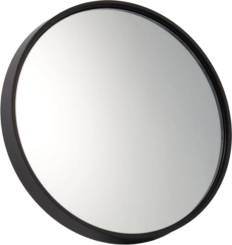 Signature 10x Suction Mirror