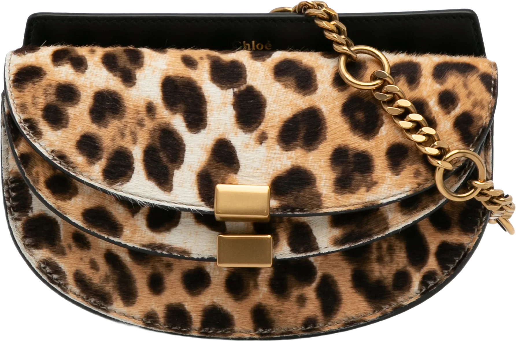 Chloe Ponyhair Georgia Crossbody Bag