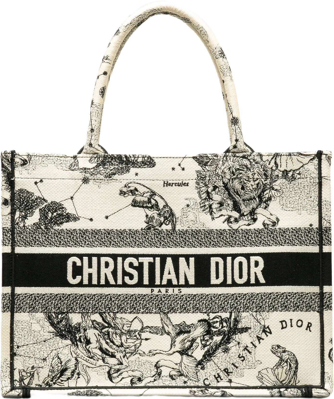 Dior Small Zodiac Book Tote