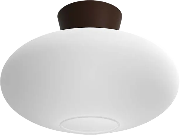 Plafond Bullo Xl Ø38