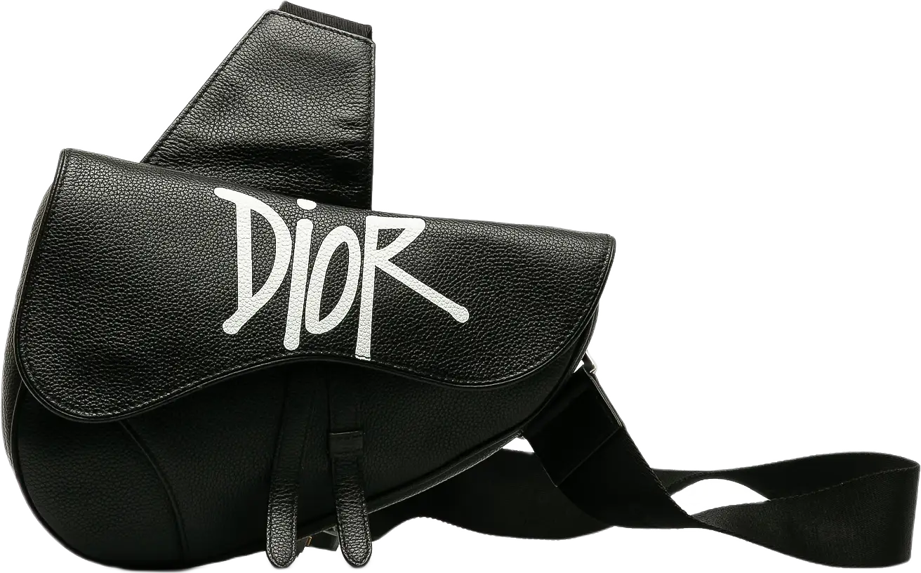 Dior X Stussy Bee Applique Saddle