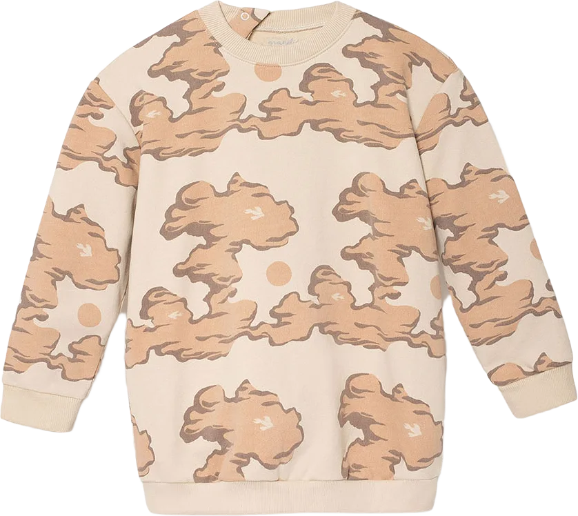 Ekologisk Sweatshirt Pink Clouds