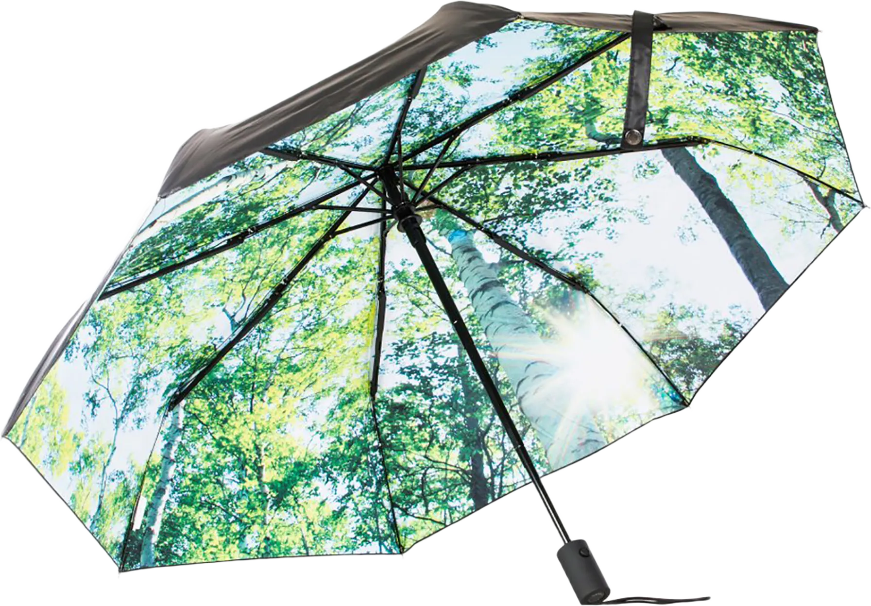 Paraply Skog
