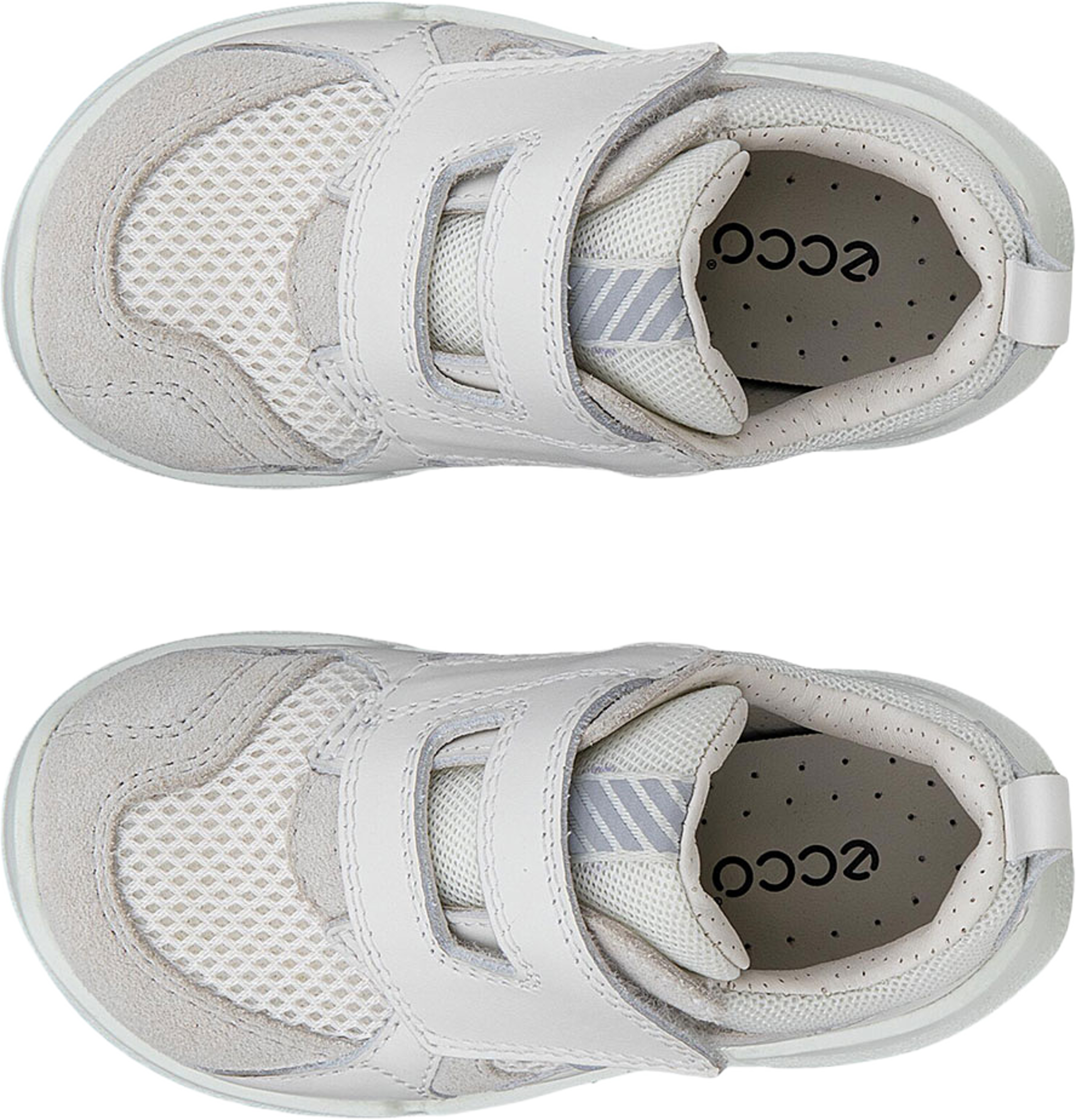 Biom 2.2 Infant