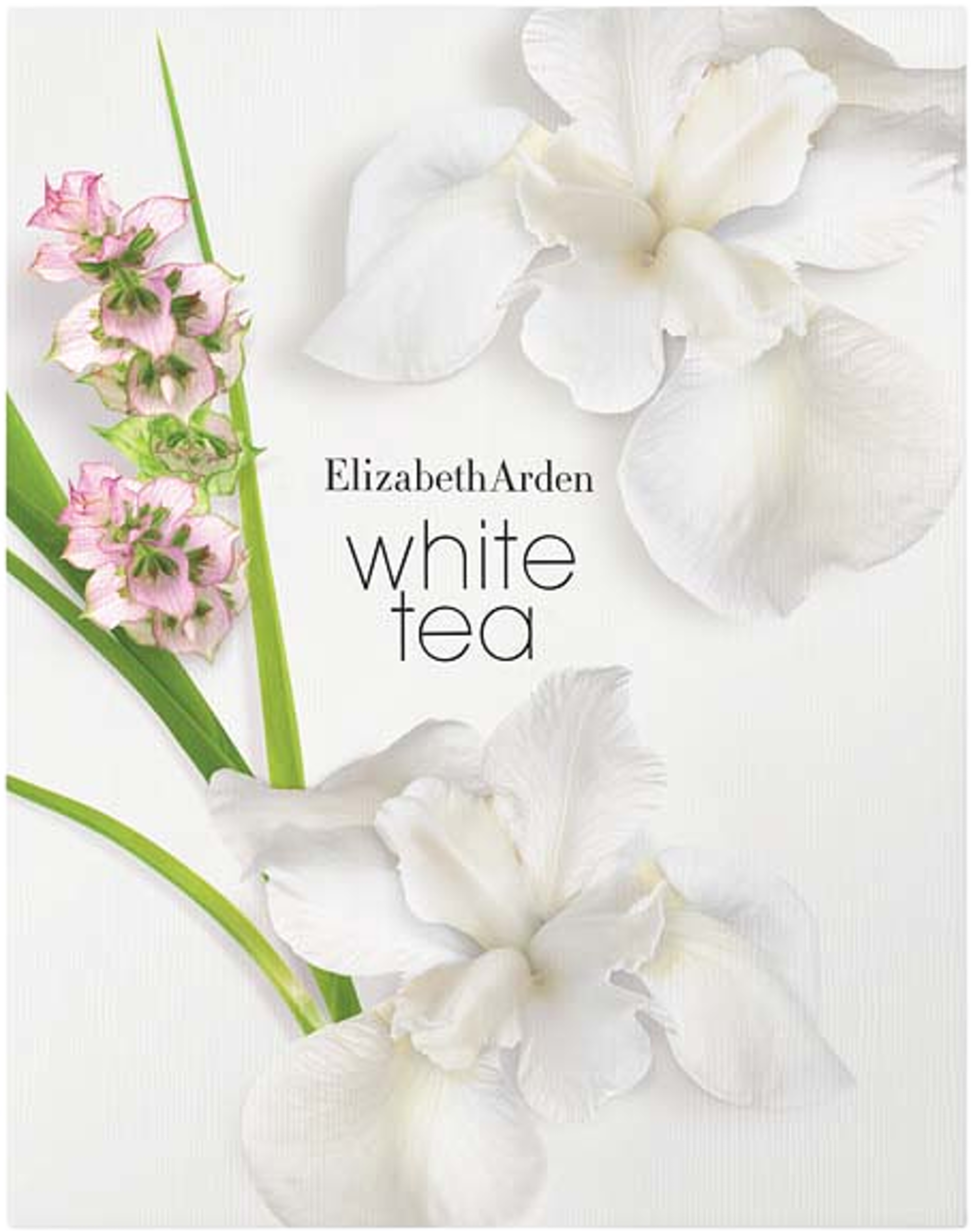 White Tea Edt 30ml/wt pure indulgence body cream 100ml, från Elizabeth Arden. Klicka för att öppna bilden i stort format