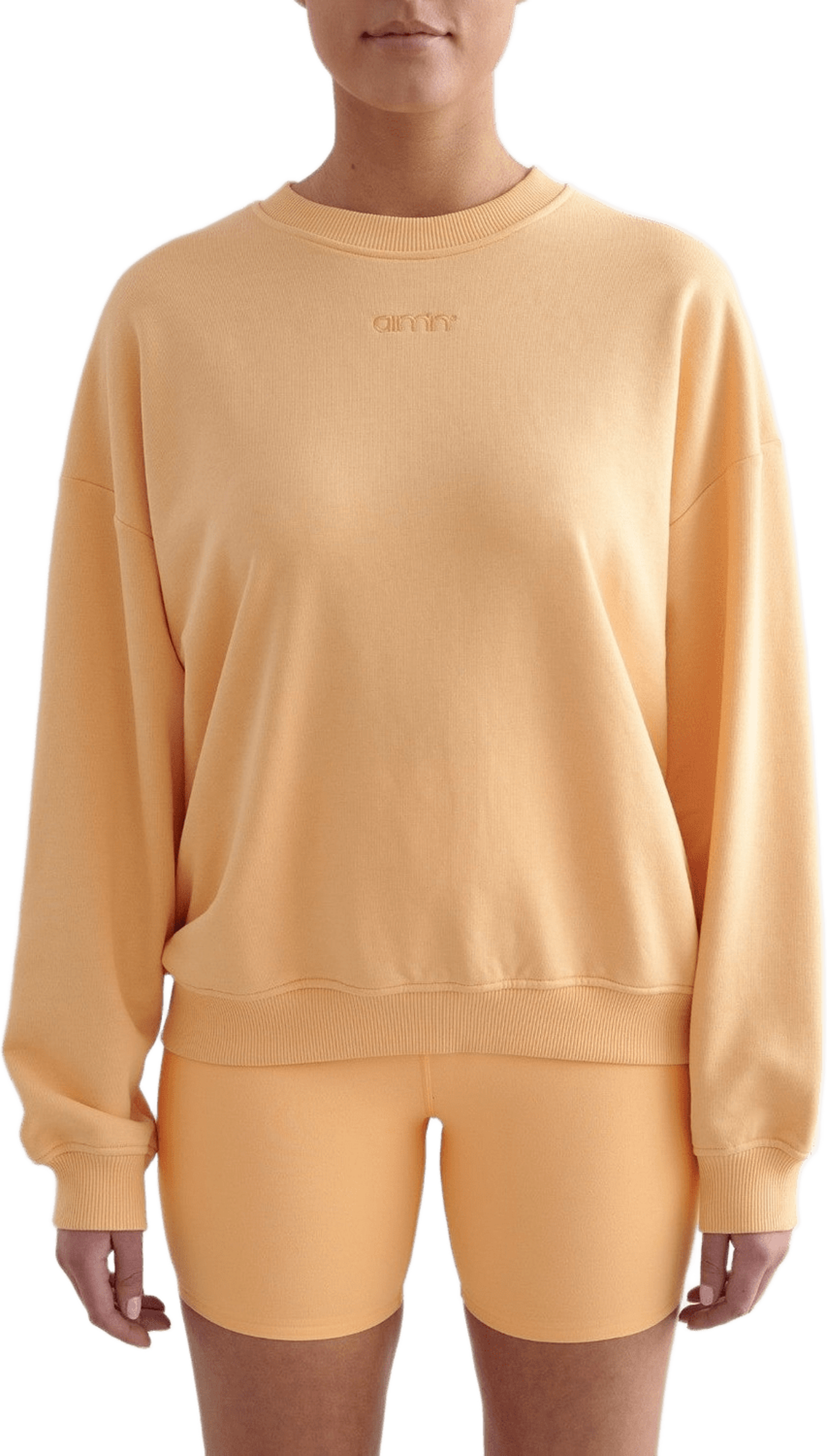 Sorbet Terry Sweatshirt