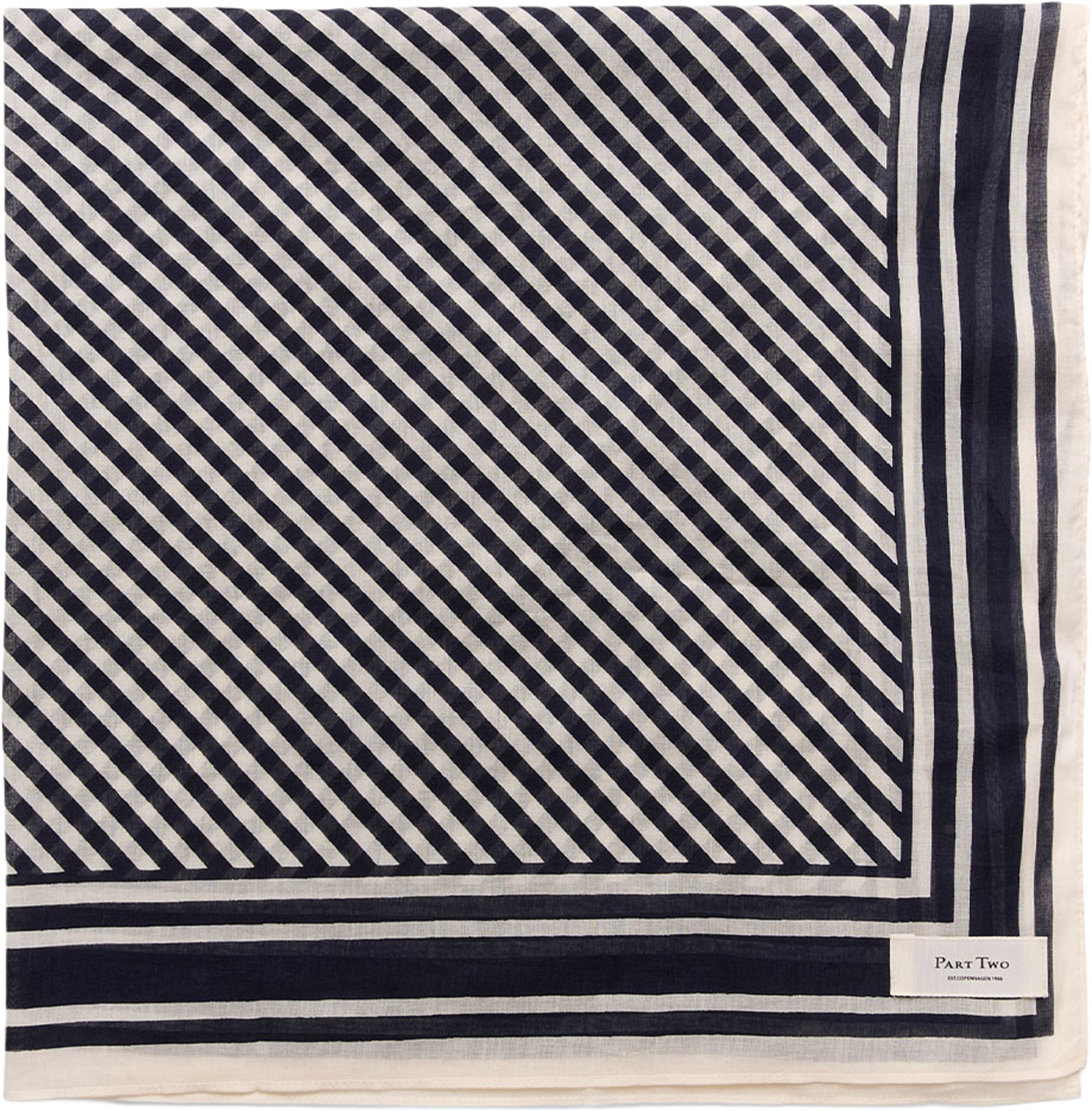 PhiPW Scarf