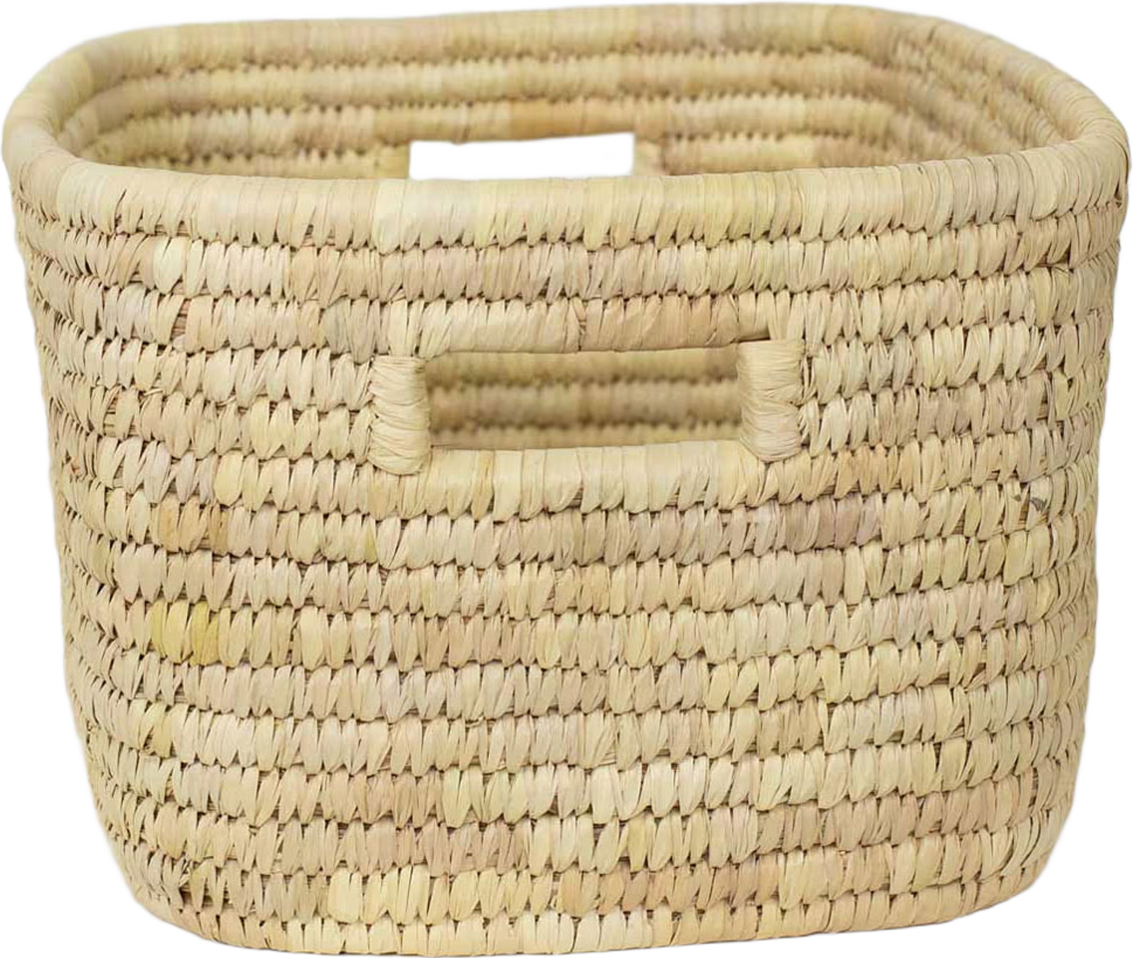 PALM VIRGO Korg oval, M